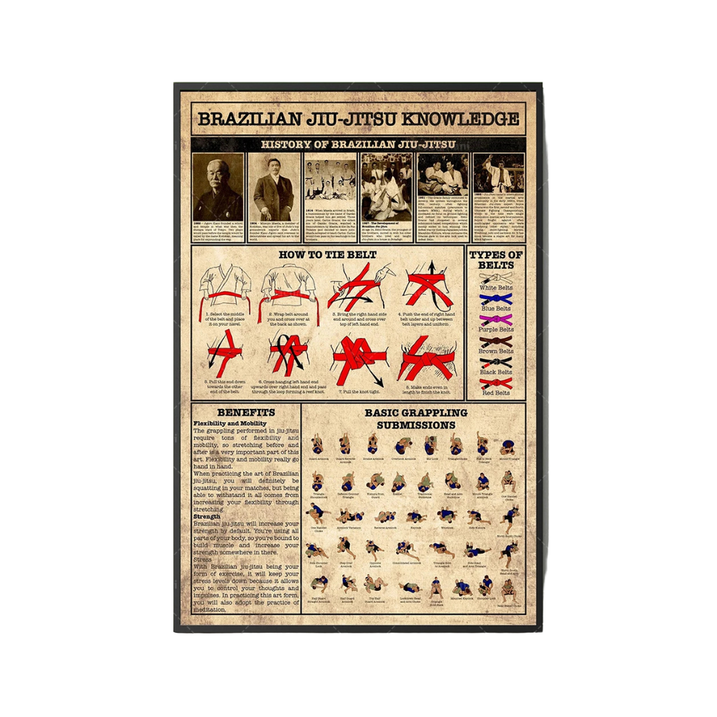 Lienzo Decorativo de Jiu Jitsu