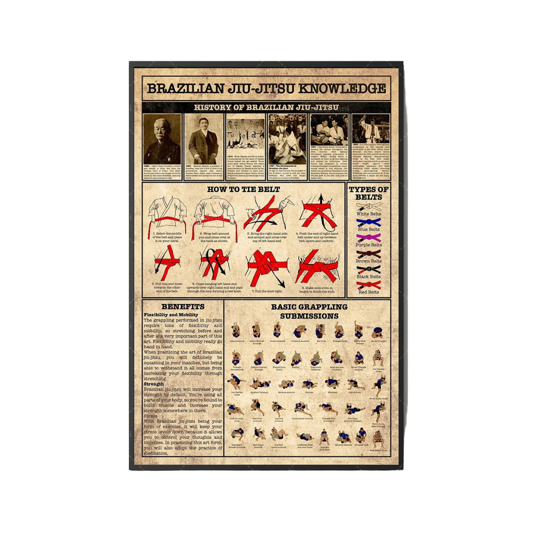 Lienzo Decorativo de Jiu Jitsu