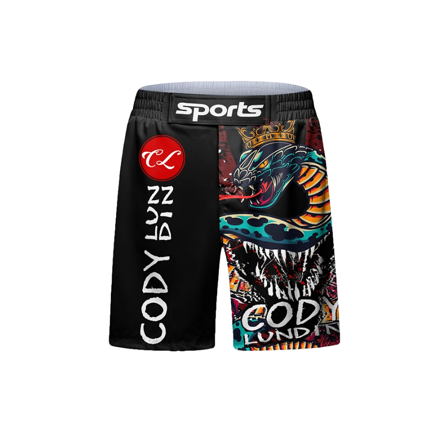 Conjunto Completo Dragón Cody